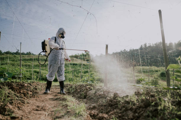 Best Pest Removal Services  in Ansted, WV