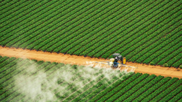 Best Termite Control Services  in Ansted, WV